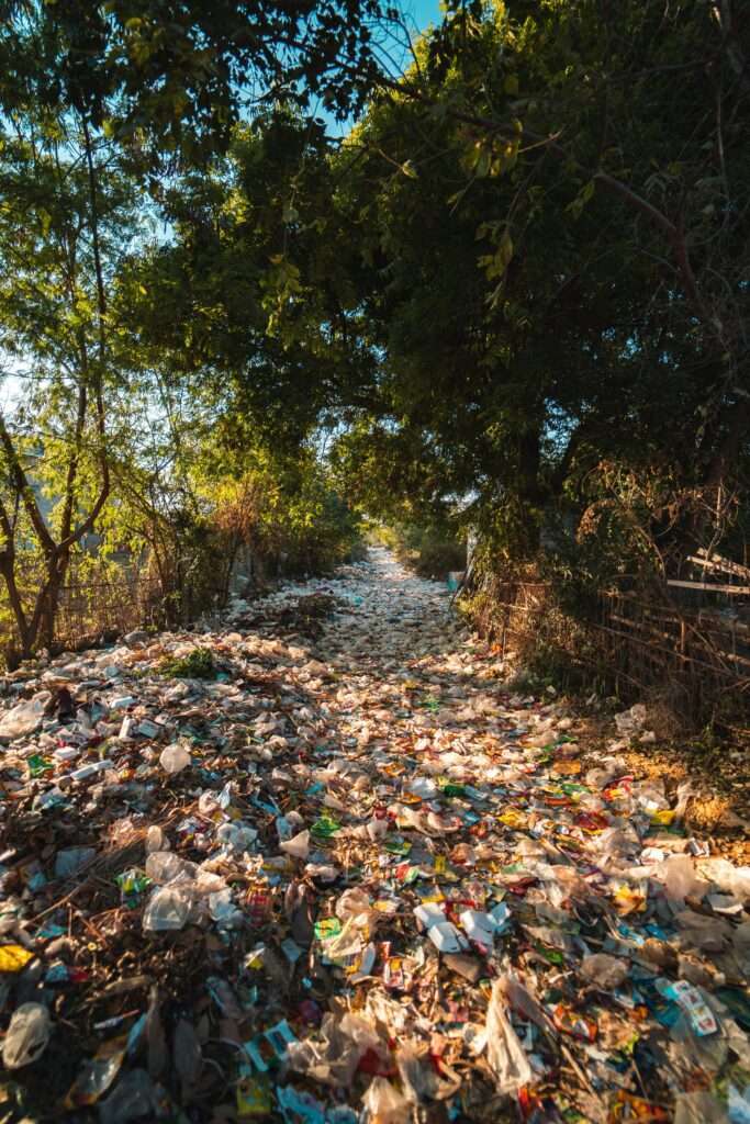 pexels photo 2583836 2583836 A forest pathway in Myanmar covered with plastic pollution and litter amidst trees.