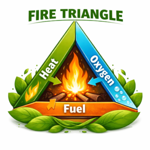 fire triangle containing (heat, fuel, oxygen)